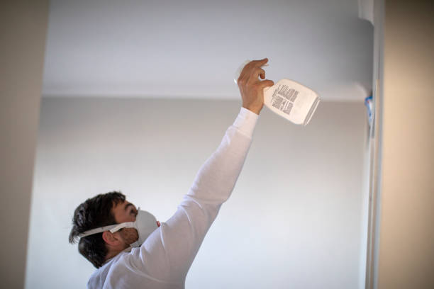 Best Mold Remediation for Schools in Grandview, OK