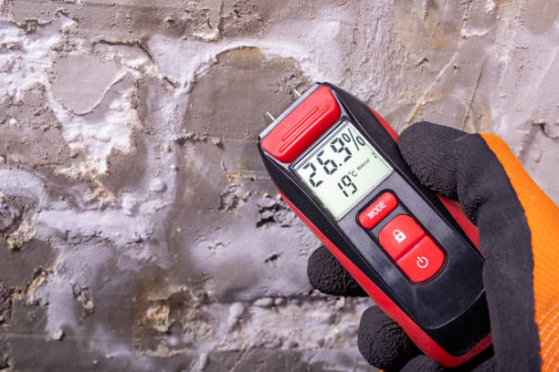 Best Residential Mold Remediation in Grandview, OK